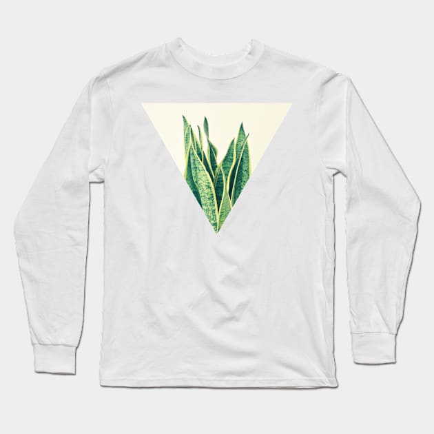 Snake Plant Long Sleeve T-Shirt by Cassia